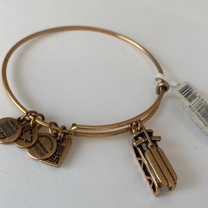 Alex & Ani Team USA Sled Expandable Wire Bracelet
